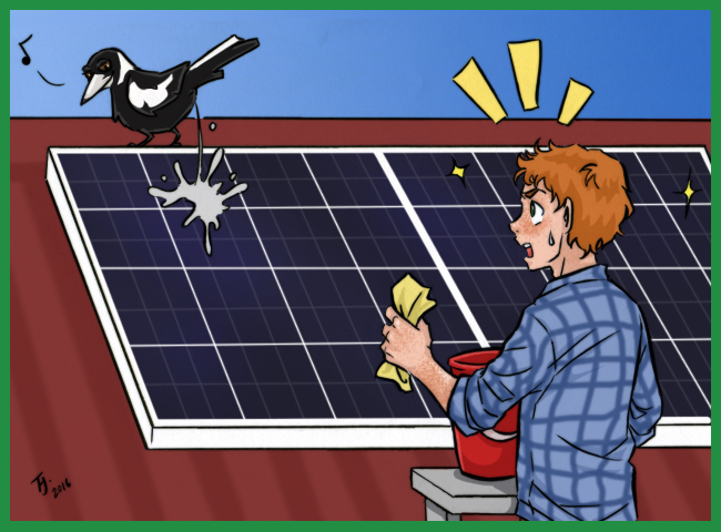 Is Solar Panel Cleaning A Waste Of Time And Money?