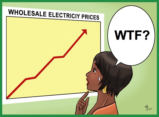 lady looking at electricity price rise graph