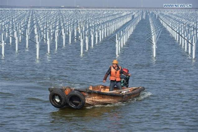 Solar power in aquaculture - China