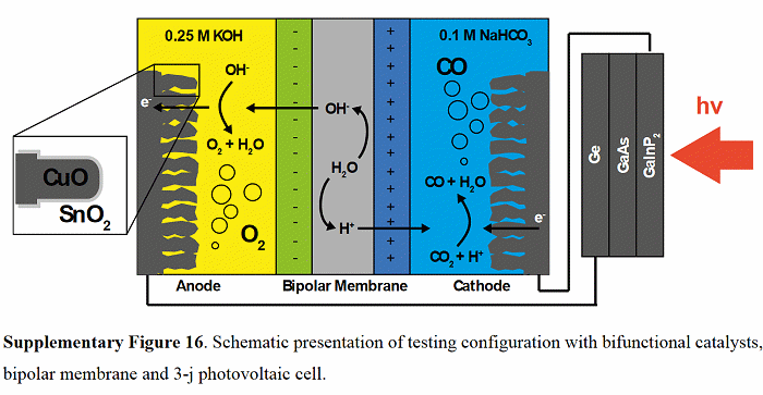 carbon dioxide to carbon monoxide and oxygen