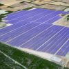 Sunraysia Solar Farm