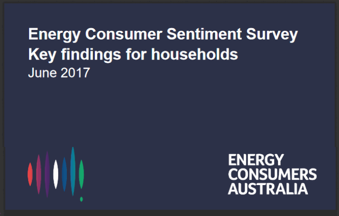Energy Consumer Sentiment Survey