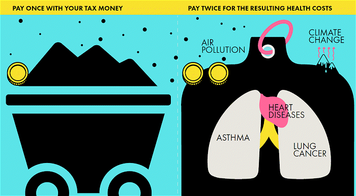 Fossil fuel subsidies