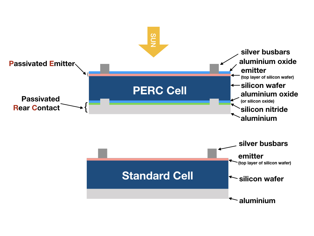 PERC cell diagram