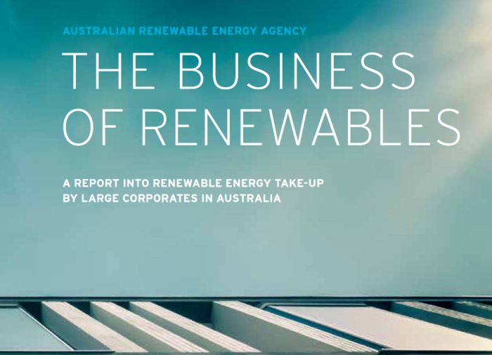 The Business Of Renewables