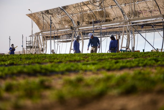 Producing food from the desert with solar energy