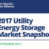 Energy Storage - USA