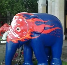 Blue Elephant