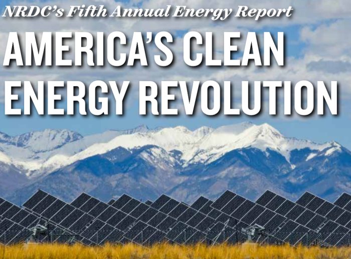 NRDC Fifth Annual Energy Report