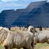 Solar energy at University of Queensland
