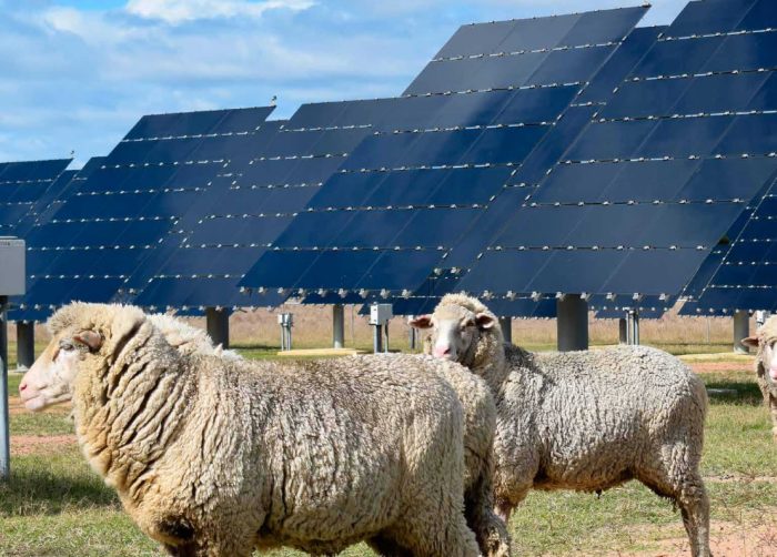 Solar energy at University of Queensland