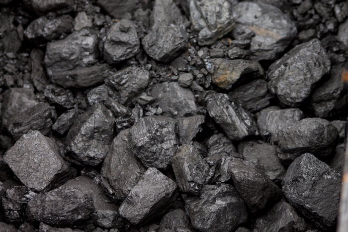 coal divestment