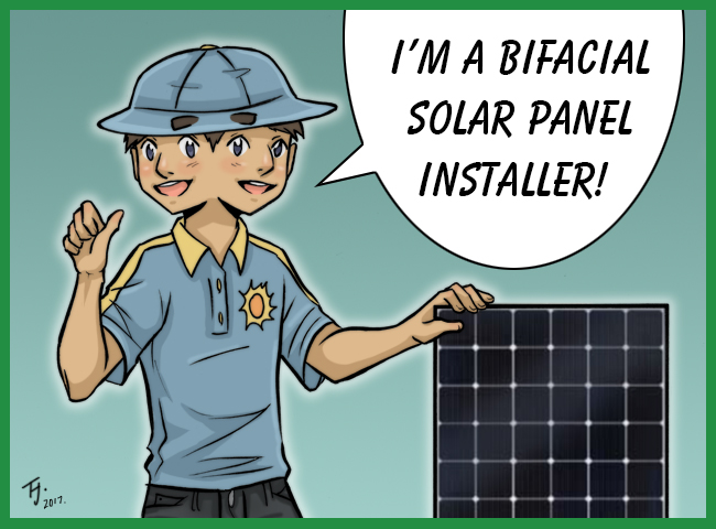 bifacial panel installer