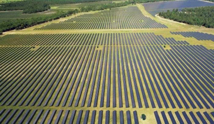 Darling Downs Solar Farm