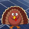 Solar energy in the Australian poultry industry