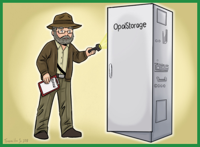 ronald and opal storage battery unit