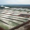 Barramundi Farm - Solar Energy