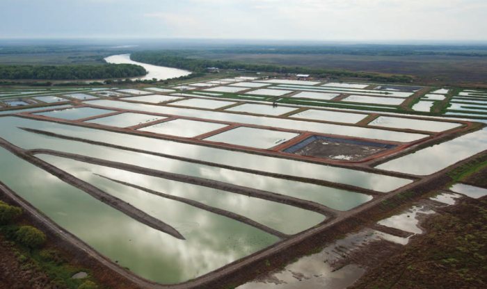 Barramundi Farm - Solar Energy