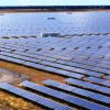 NSW solar farms
