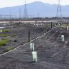 Port Augusta Power Stations rehabilitation