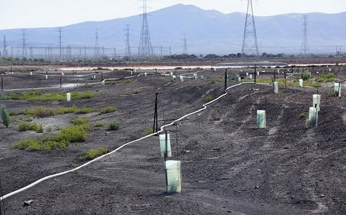 Port Augusta Power Stations rehabilitation