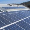 Tasmania solar feed in tariff review