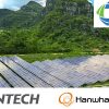 GCL New Energy - Hanwha Q Cells - Wuxi Suntech