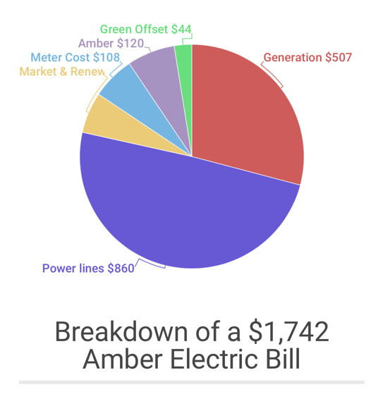 breakdown of amber bill