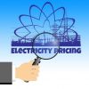 Electricity pricing in New South Wales
