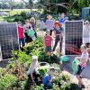 Renewable Newstead - solar energy