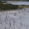 Coal ash waste in Australia