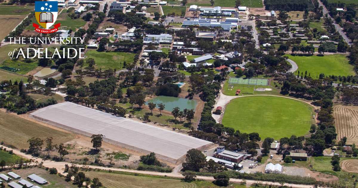 Solar and energy storage project at Roseworthy