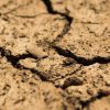 Climate emergency declarations
