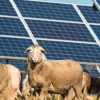 Maryvale Solar Farm