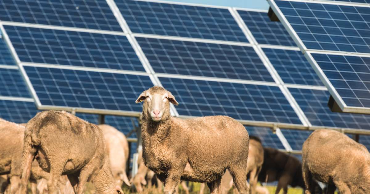Maryvale Solar Farm