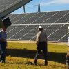 Mount Signal Solar