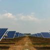 West Wyalong Solar Farm