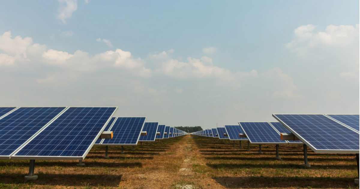 West Wyalong Solar Farm