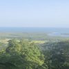 Daintree microgrid