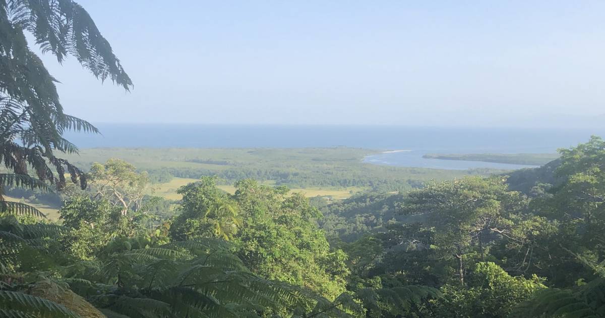 Daintree microgrid