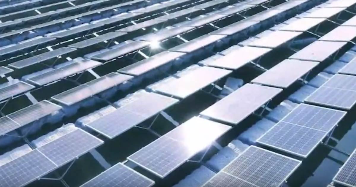 Floating solar - Longi panels