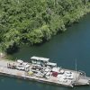 Daintree river ferry