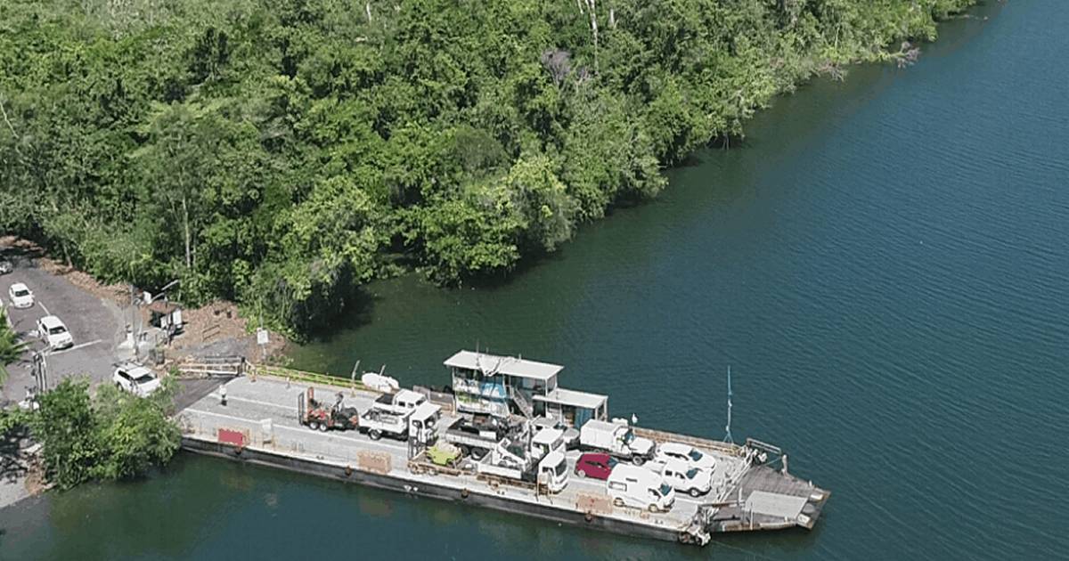 Daintree river ferry