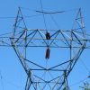 NT electricity market reforms