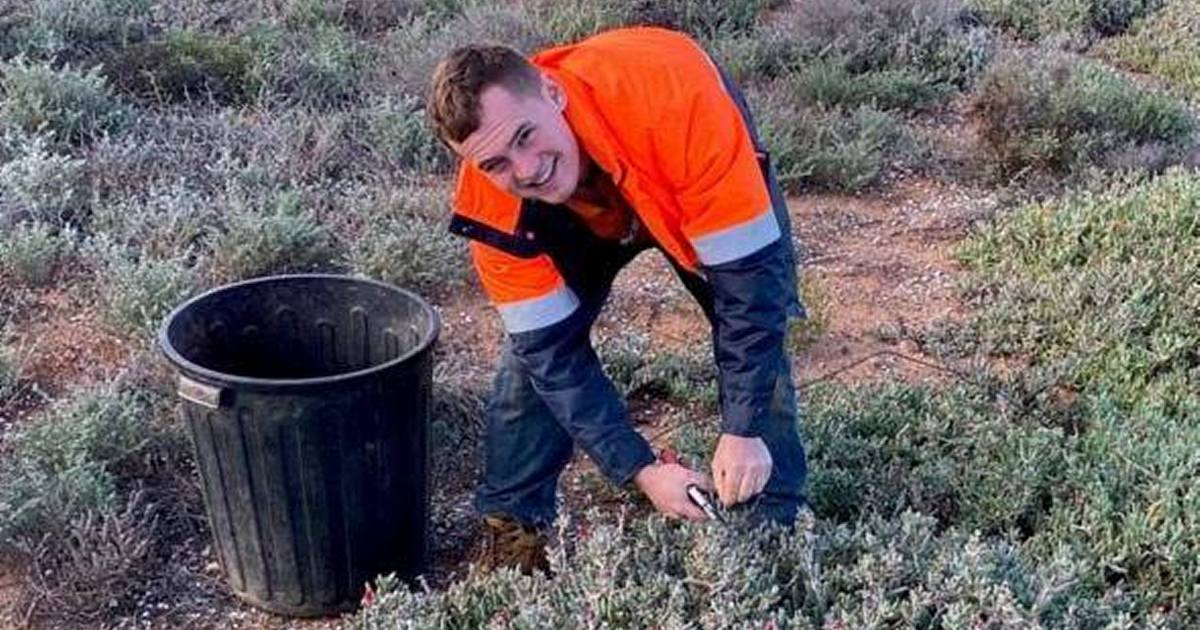 SA Water solar farm revegetation