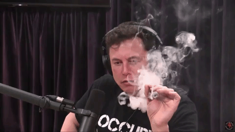 President Elon Musk