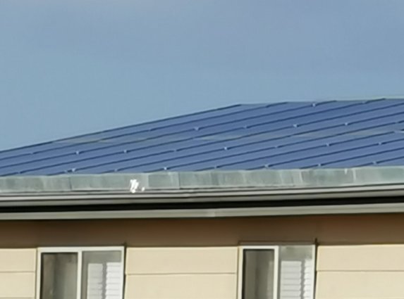 Pigeon barrier - solar panels