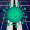 Sydney solar installations - COVID-19