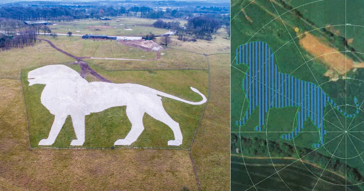 White and solar lion - Whipsnade Zoo