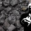 Clive Palmer - coal power